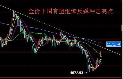 黃金鯽魚養(yǎng)殖技術(shù)(黃金鯽養(yǎng)殖技術(shù)及病害防治技術(shù))