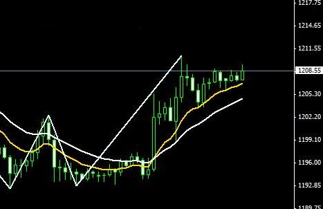 黃金雀盆景(黃金雀盆景圖片)