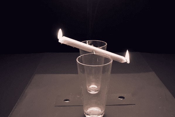 黃金雀的盆景圖片(黃金雀盆栽圖片)