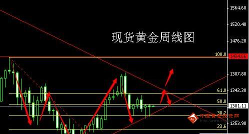 黃黃金瞳(請問黃金瞳)
