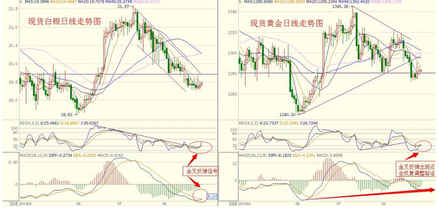 黃金間碧玉竹(黃金間碧玉竹和金鑲玉竹)