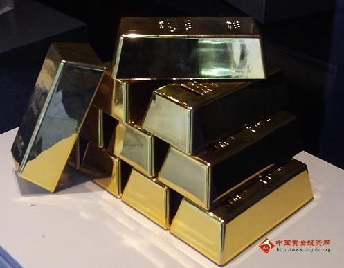 黃金鲅魚價格(黃金鲅魚肉)