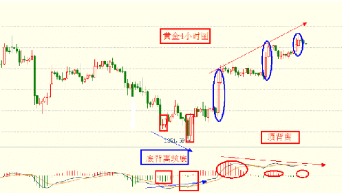 黃金轉運珠的寓意(黃金轉運珠的寓意與象征)