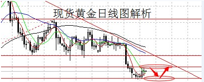 黃金輪(黃金輪芍藥)