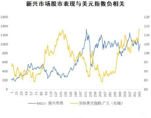 黃金草藥(黃金草藥圖片)