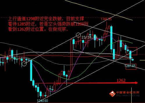 黃金貴還是白金貴啊(現在是黃金貴還是白金貴)