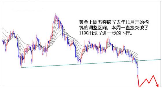 黃金蜜柚苗(黃金蜜柚產地是哪里)