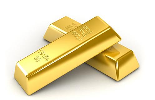 黃金菖蒲(黃金菖蒲適合放臥室嗎)