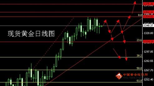 黃金蝙蝠(黃金蝙蝠有毒嗎)