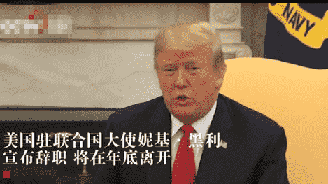 黃金羅盤第二部(黃金羅盤第二部在哪看)