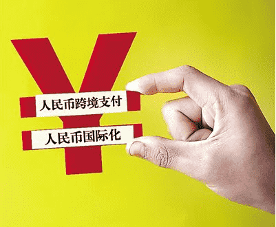 黃金竹價格(金竹竹子價格)