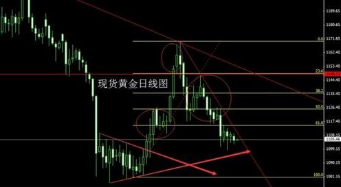 黃金眼鏡蛇雷龍混養(yǎng)(黃金眼鏡蛇雷龍混養(yǎng)羅漢魚)