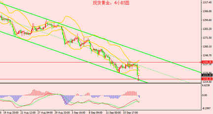 黃金瞳所有人物介紹(黃金瞳的男主角是誰(shuí))