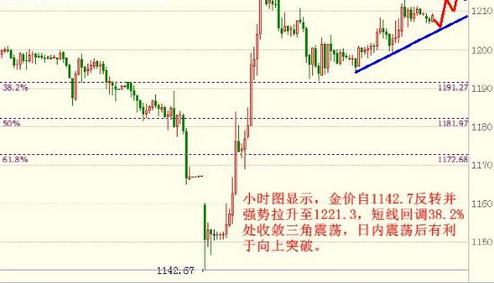 黃金眼浮漂型號介紹(黃金眼浮漂型號介紹圖片)