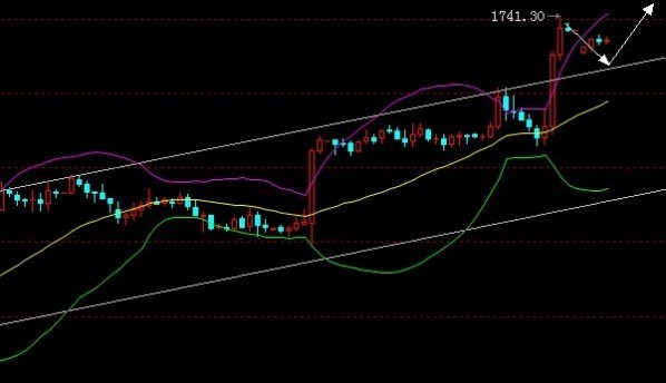 黃金炸大蝦(油炸黃金蝦)