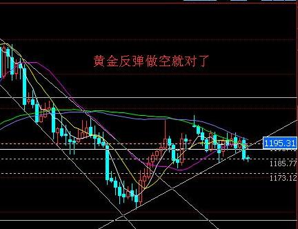 黃金礦工單機版下載(黃金礦工單人版手機版)