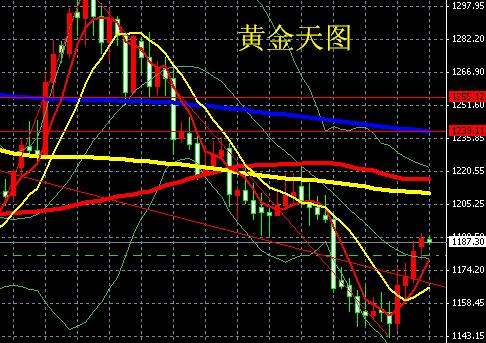 黃金甲魚竿價格(黃金甲魚竿是哪里產的)