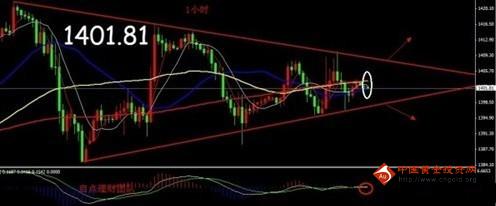 黃金甲手串是什么原料(黃金甲手串是什么東西)