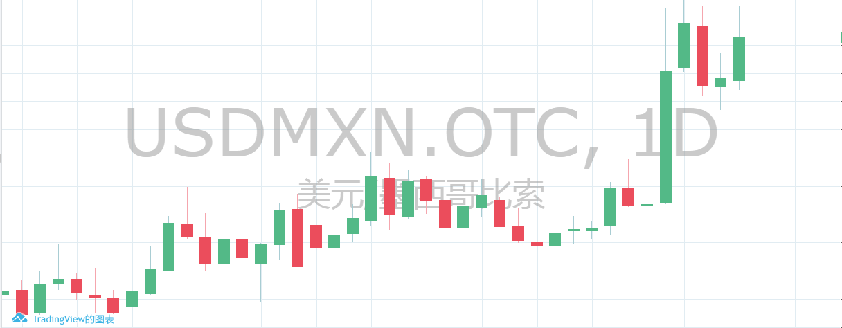 黃金甲之謎攻略(黃金甲之謎最新攻略)