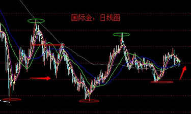黃金片子(黃金電影高清)