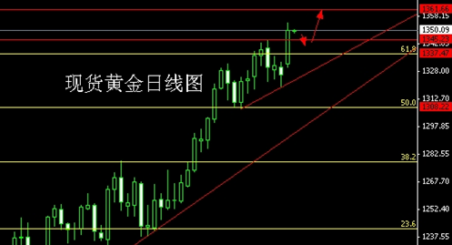 黃金男模大賽(第十五屆黃金男模聯賽前三名)