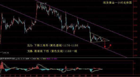 黃金牛蒡(黃金牛蒡和什么一起喝效果好)