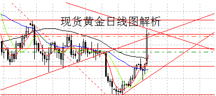 黃金海岸的作文(黃金海岸的作文400字)