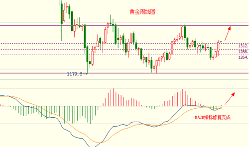 黃金木是什么(黃金木是什么木頭)