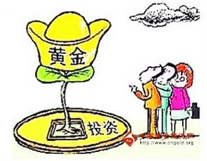 黃金水母(黃金水母在哪里)