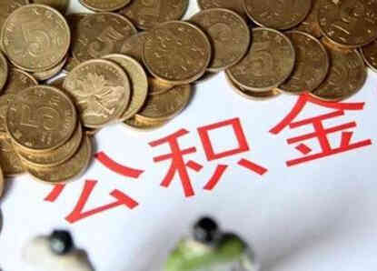 黃金甲信鴿特點(黃金甲信鴿子)