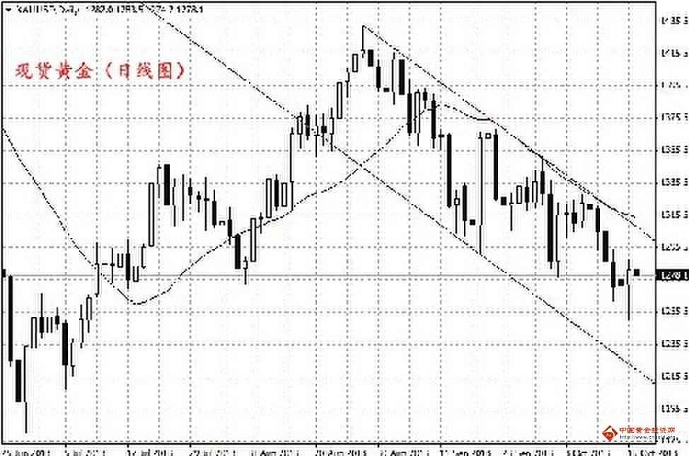 黃金甲藥一瓶10粒(黃金甲藥一瓶10粒裝多少克)