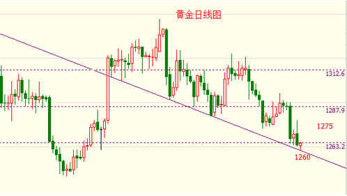 黃金搭檔多少錢一箱(黃金搭檔在哪里買)