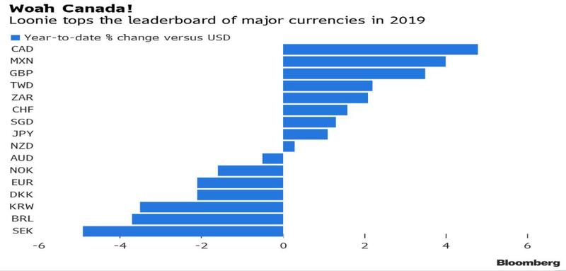 黃金按鈕(黃金按鈕父子唱歌)