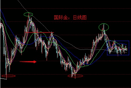 黃金搭檔是什么(蒲公英的黃金搭檔是什么)