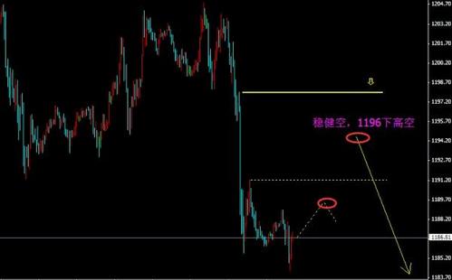 黃金忙內是什么意思啊(進擊得黃金忙內)