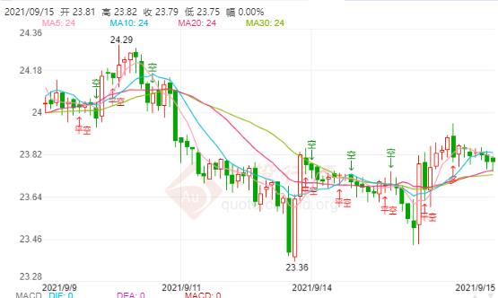 黃金帝國沈萬三傳(黃金帝國沈萬三傳第一集)