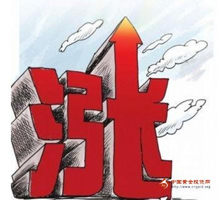 黃金巴西亞魚視頻(大巴西亞魚視頻)