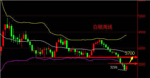 黃金彩虹電視劇(黃金彩虹電視劇演員表少年)