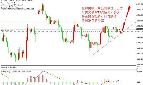 黃金圣斗士頭像(十二黃金圣斗士頭像)