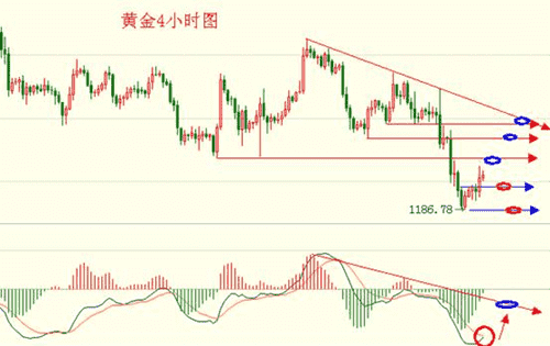 黃金聲學官網(黃金聲學6008)