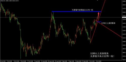 黃金葉黃金眼多少錢一包(黃金眼多少錢一盒)