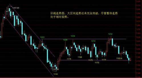 黃金圣斗士蛇夫座(黃金圣斗士蛇夫座為什么要刺殺雅典娜)