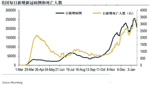 黃金可卡燈魚(黃金可卡燈魚野生跟人工的區別)
