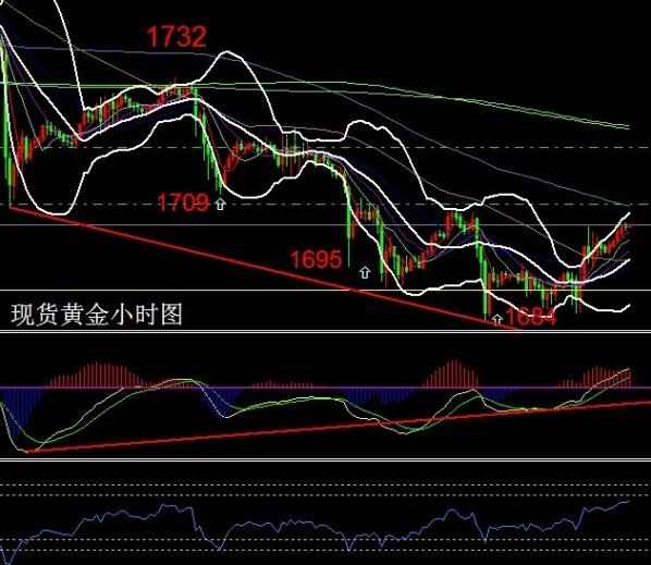 黃金葉一條多少包(黃金葉一條有多少包)