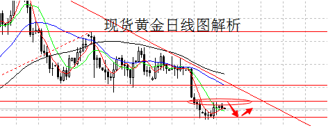 黃金葉天葉真偽(黃金葉天葉真假鑒定)