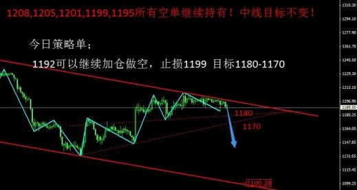 黃金葉大金圓20支裝硬(黃金葉大金圓軟盒圖片)