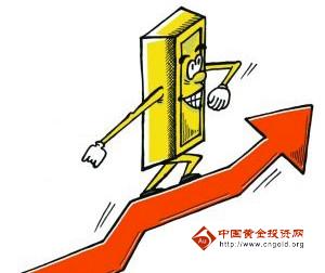 黃金葉品種價格(黃金葉種類及價格圖片)
