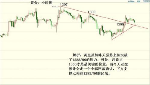 黃金葉之愛尚牛仔(黃金葉愛尚一條圖片)