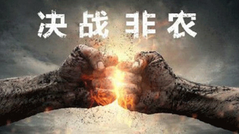黃金葉天葉非賣品價格(黃金葉天葉一條價格)