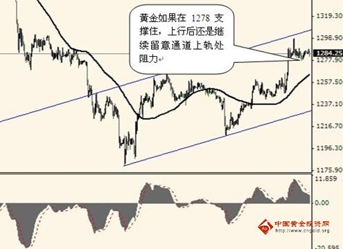 黃金葉大天葉價格(黃金葉天葉價格)